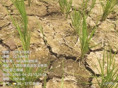 中央气象台：全国农业气象月报（2025年05月03日）